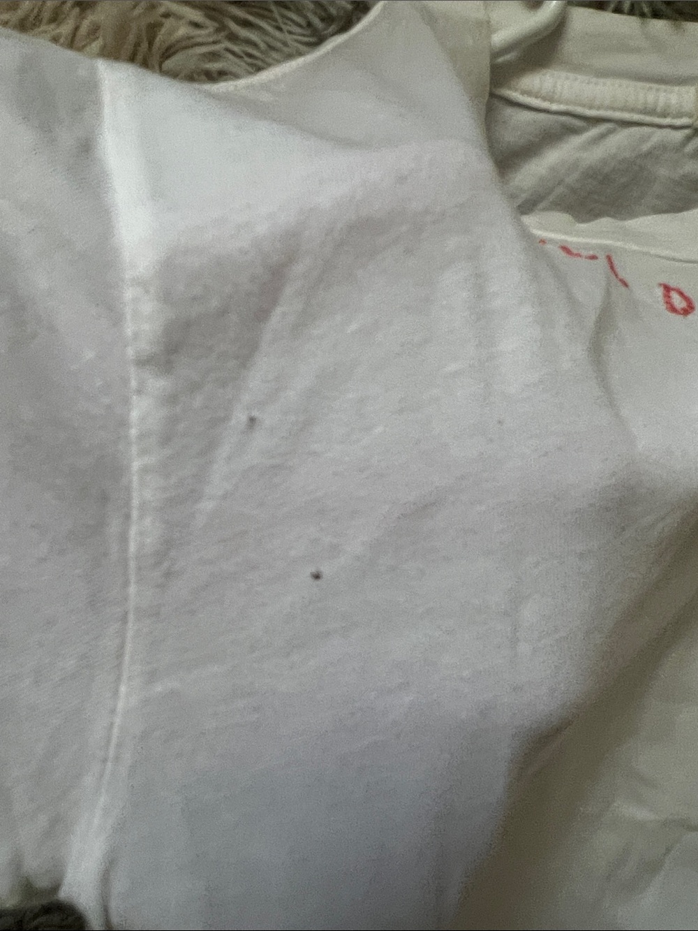 MOTHER White Tee with Red Neckline Embroidery - Picture 4 of 11